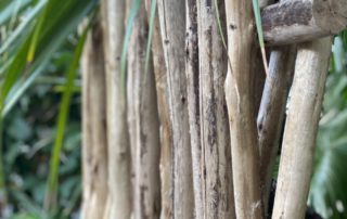 Eucalyptus Fence for Sale | The Supply Scout