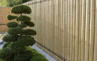 Bamboo Poles for Sale in Florida | The Supply Scout